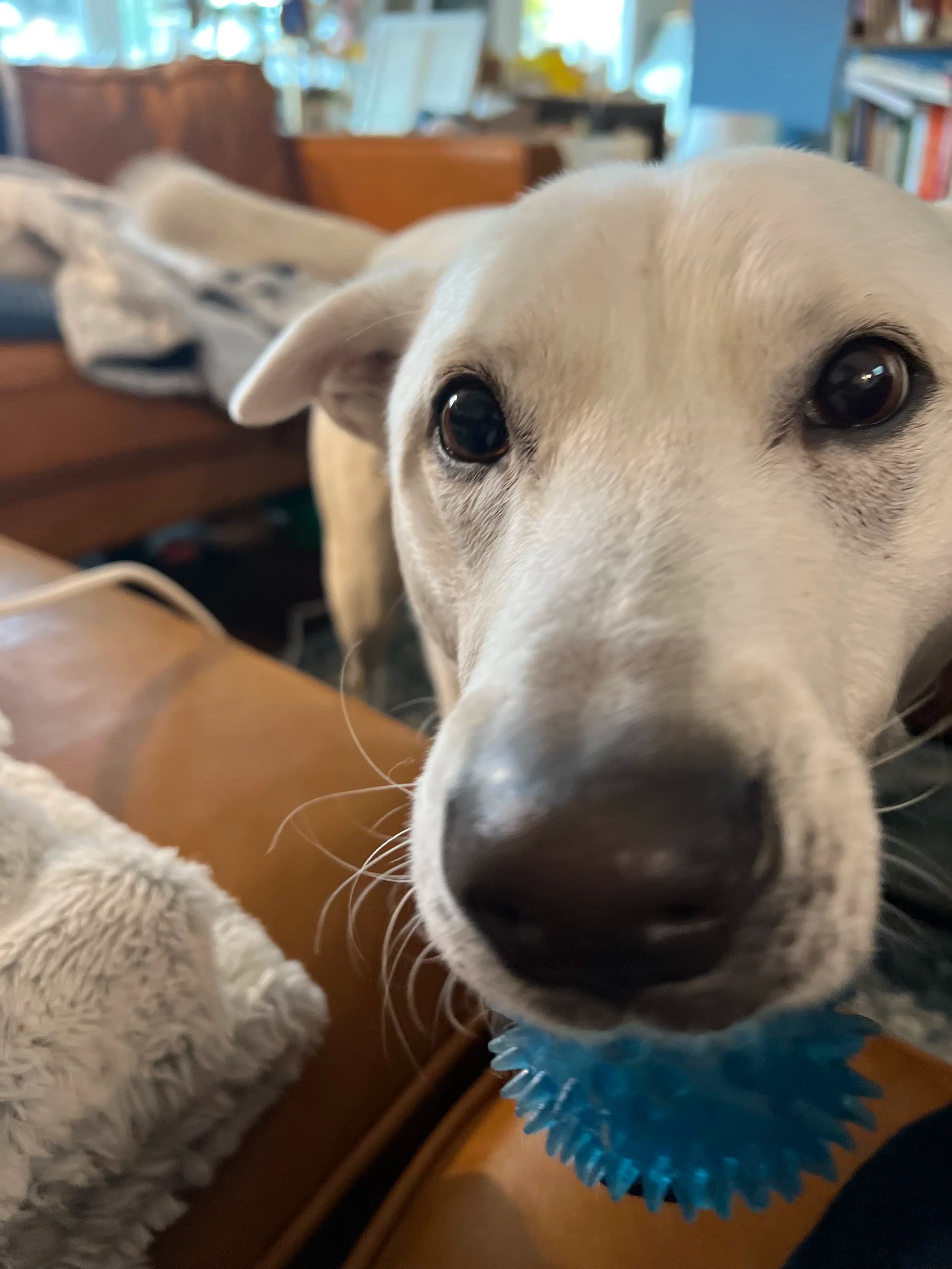 Martin Ceramics is Live