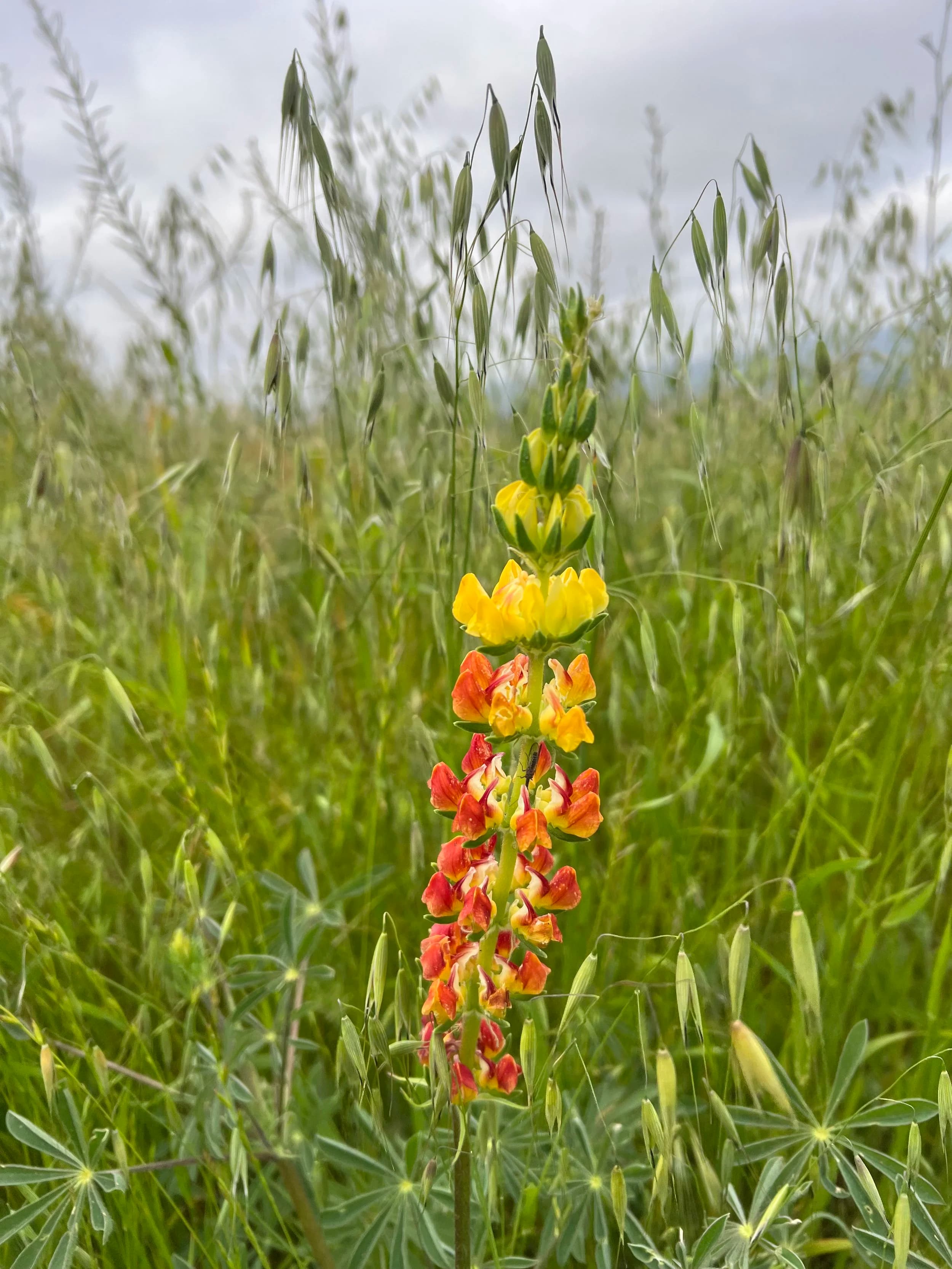 Your Mental Health Is More Important Than Your Financial Health