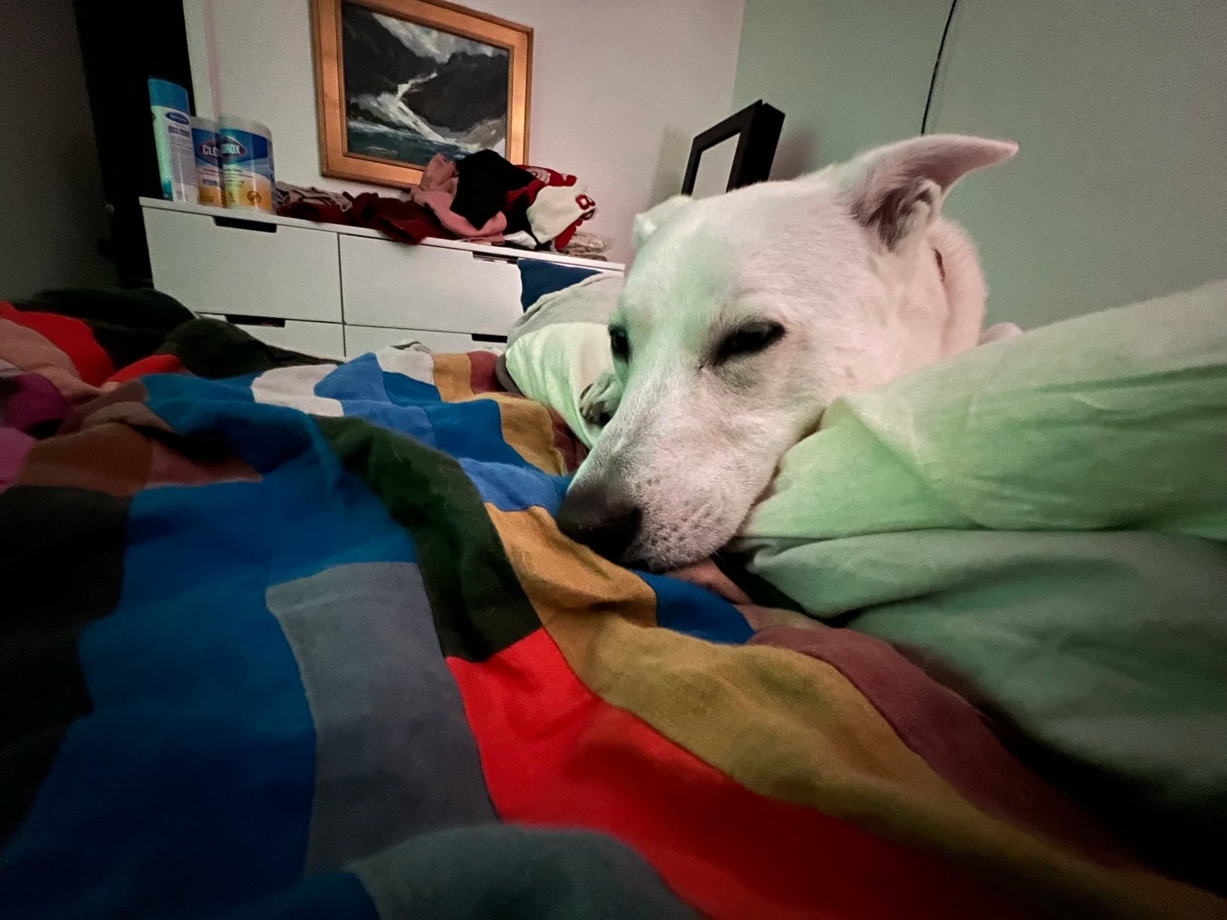 How I Prepare for PM Interviews