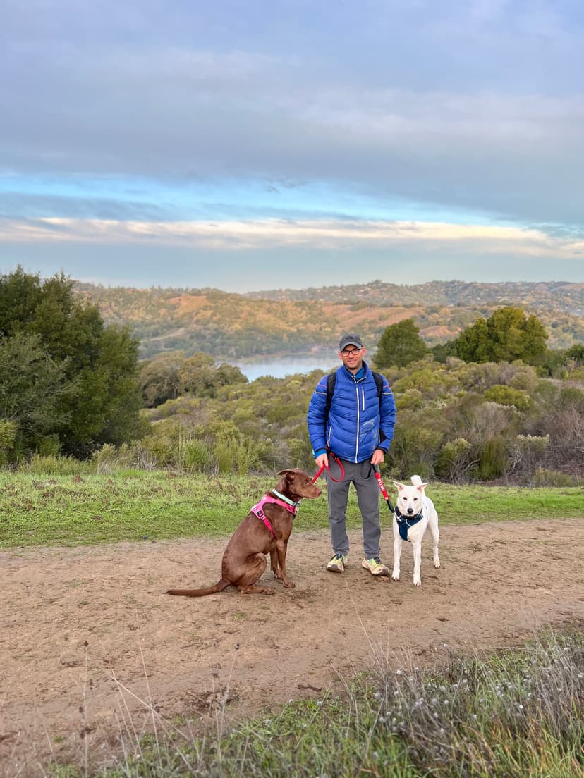 Jon hiking with dogs