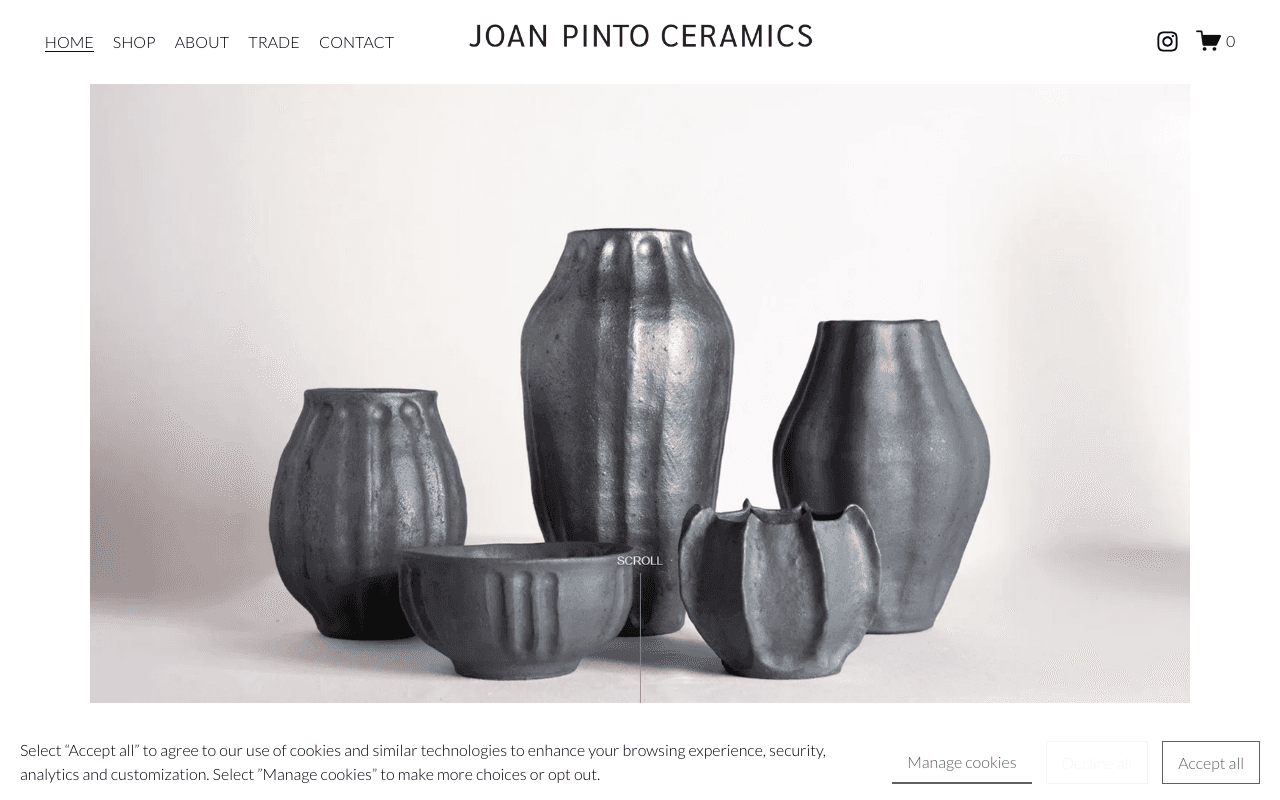 Joan Pinto Ceramics screenshot